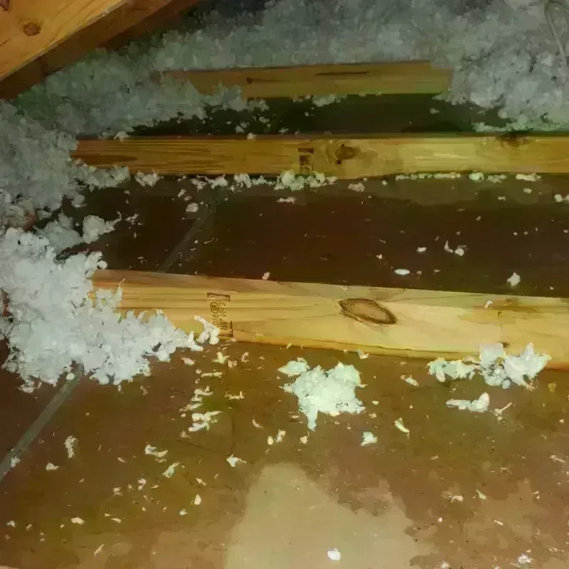 Attic Water Damage in Webster, NY