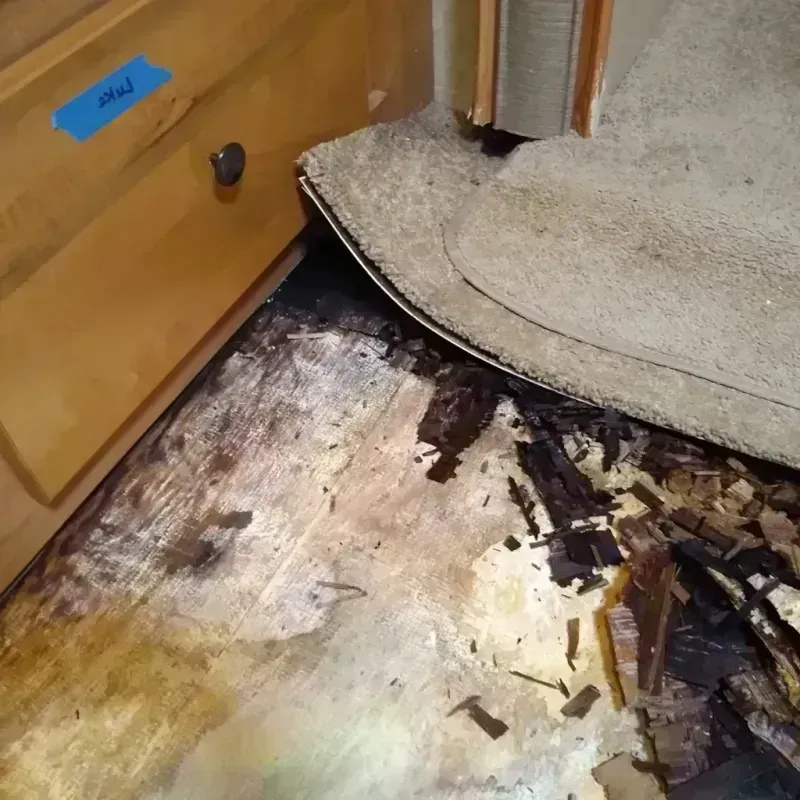 Wood Floor Water Damage in Webster, NY